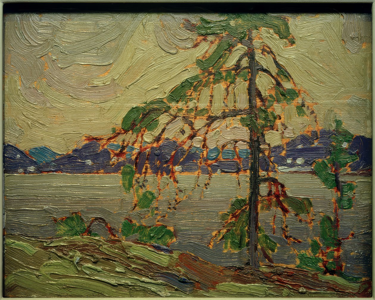 El pino Jack (boceto) de Tom Thomson