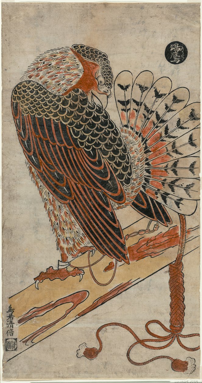 Gavilán (Konori taka) de Torii Kiyomasu I