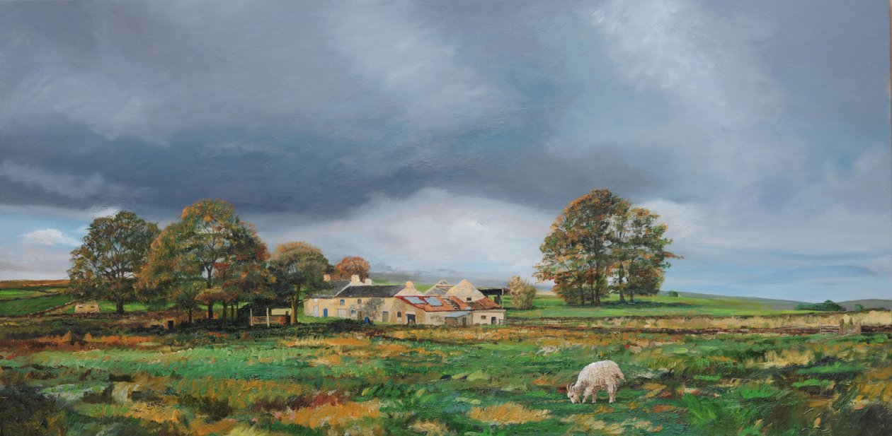 Granja antigua, Monyash, Derbyshire, 2009 de Trevor Neal