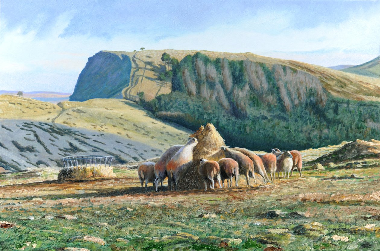 Alimentación de ovejas, 2004 de Trevor Neal