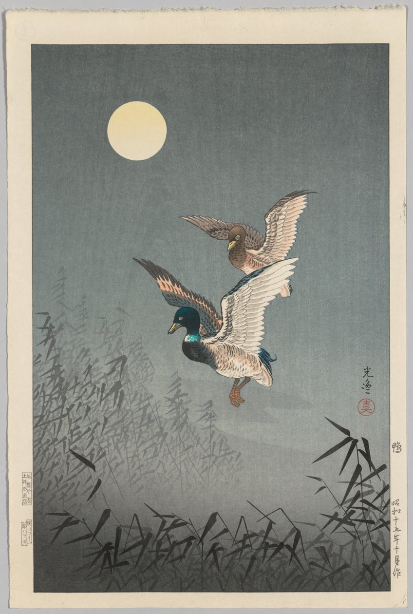 Vistas de Tokio: patos de Tsuchiya Kōitsu