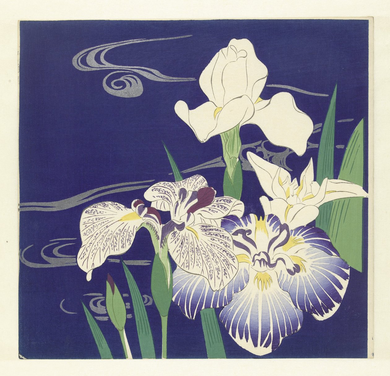 iris de Tsukioka Kogyo