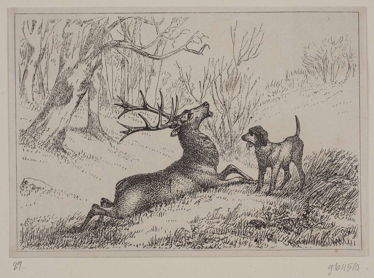 Ilustración para el poema "Hjorten" de Gotfred Rode de Ubekendt