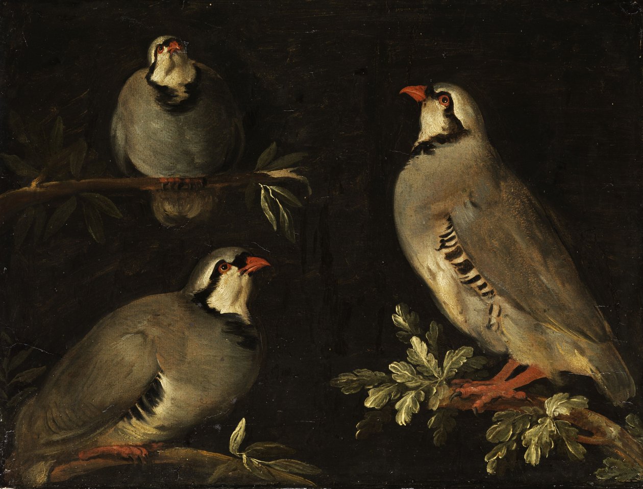 Tres palomas en ramas de Unbekannt Unbekannt