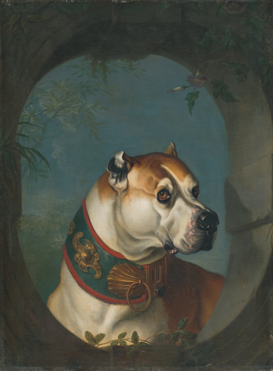 Retrato de un perro de Unbekannt Unbekannt