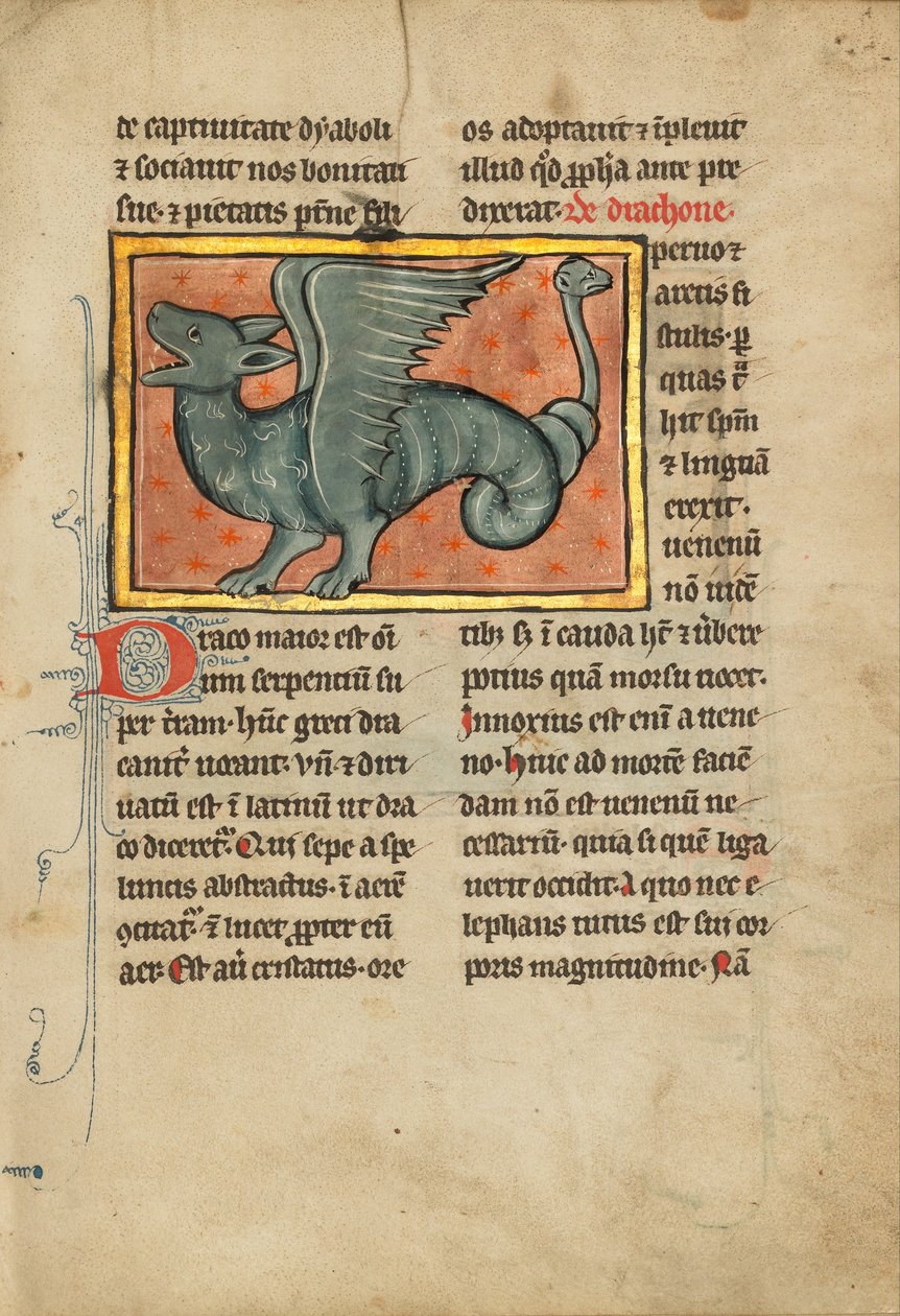 Un dragón alado de Unbekannt Unbekannt