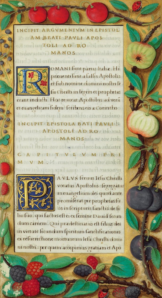 Página de Texto Decorada de Unbekannt Unbekannt