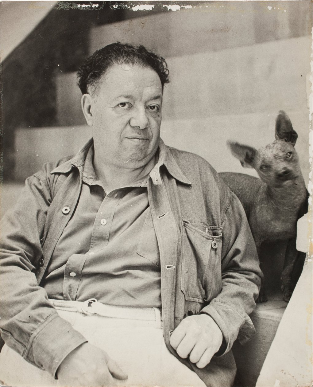 Diego Rivera con un perro xoloitzcuintle en la Casa Azul, Coyoacán de Unbekannt Unbekannt