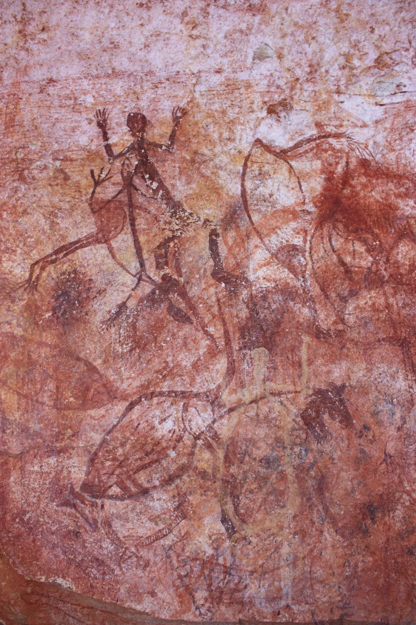 Animales de rayos X temprano de Unbekannt Unbekannt