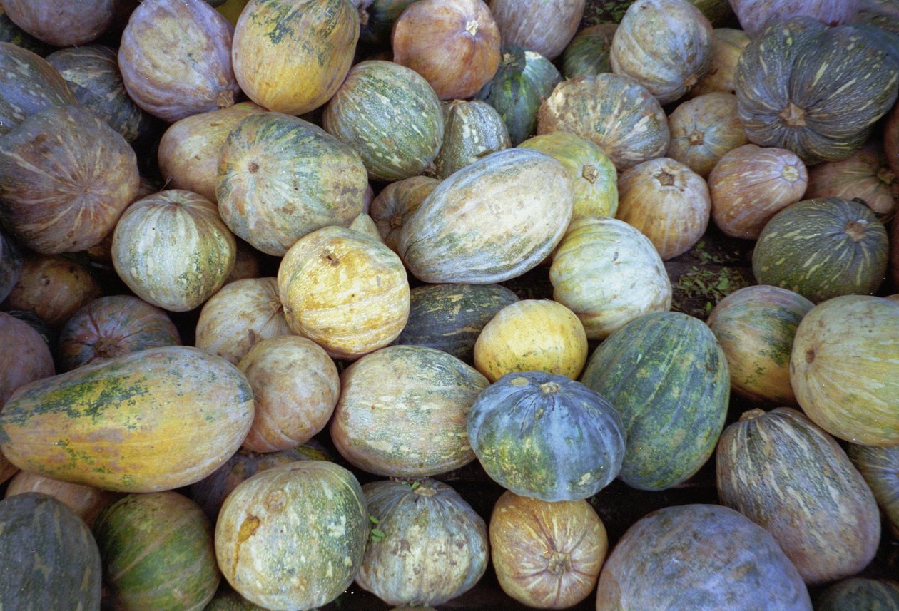 Melones, 1995 de Unbekannt Unbekannt