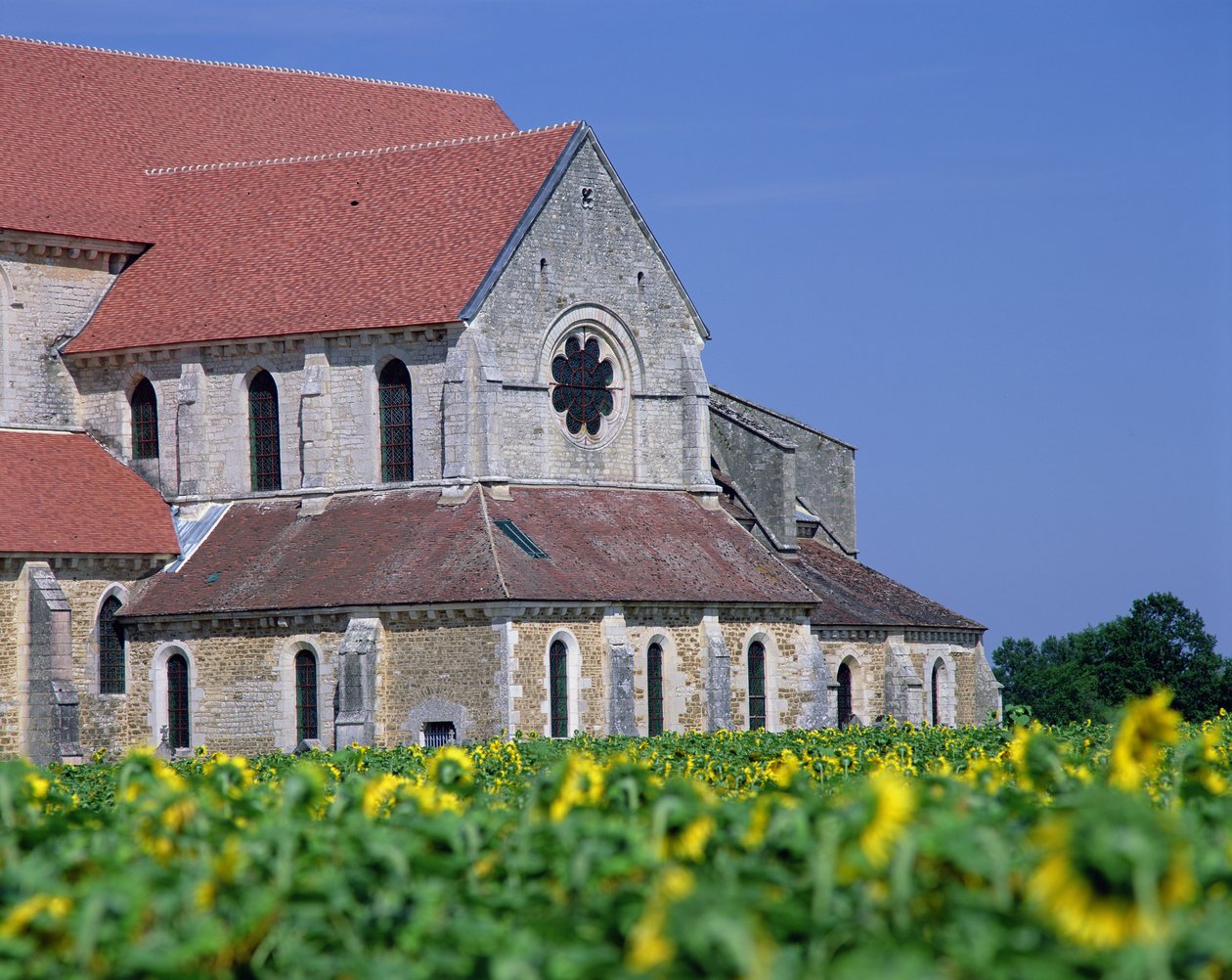Abadía de Pontigny de Unbekannt Unbekannt