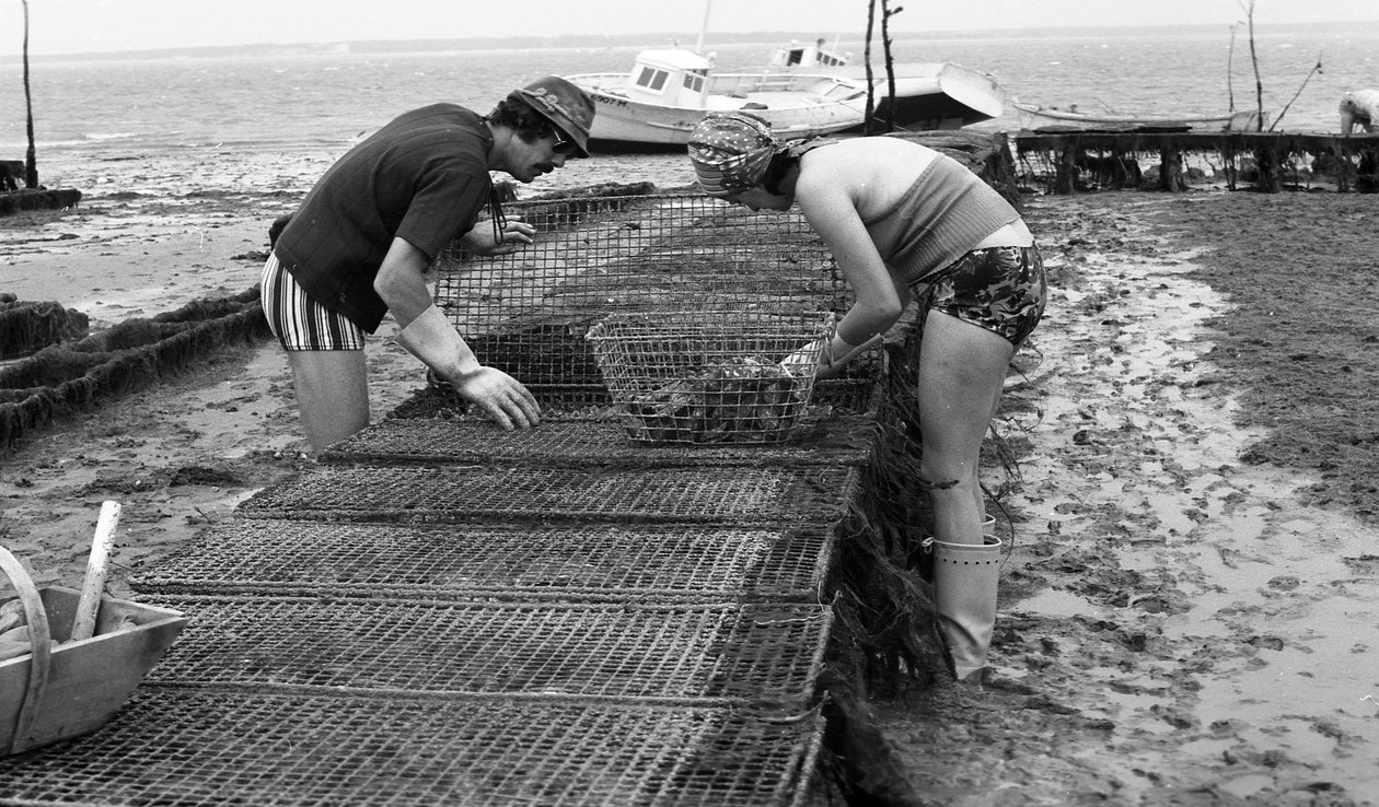 6080 C18 Ostregrower en Vendee Oyster Agosto 1974 de Unbekannt