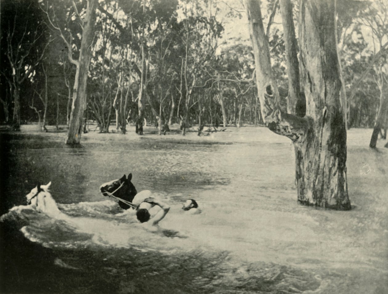 Un banquero, 1901 de Unbekannt