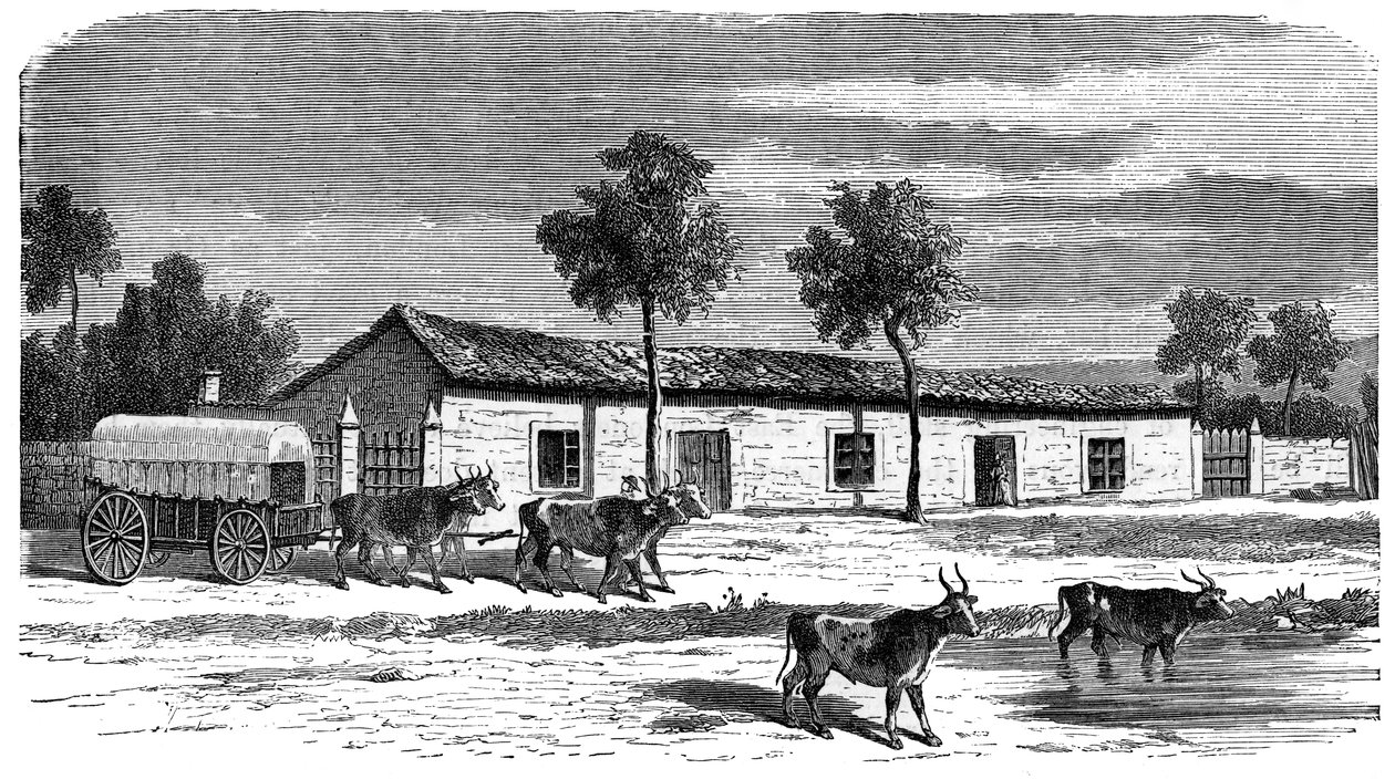 Una granja bóer, Sudáfrica, c1890 de Unbekannt