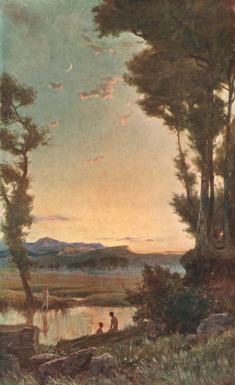 Un arroyo selvático, finales del siglo XIX, c1902 de Unbekannt