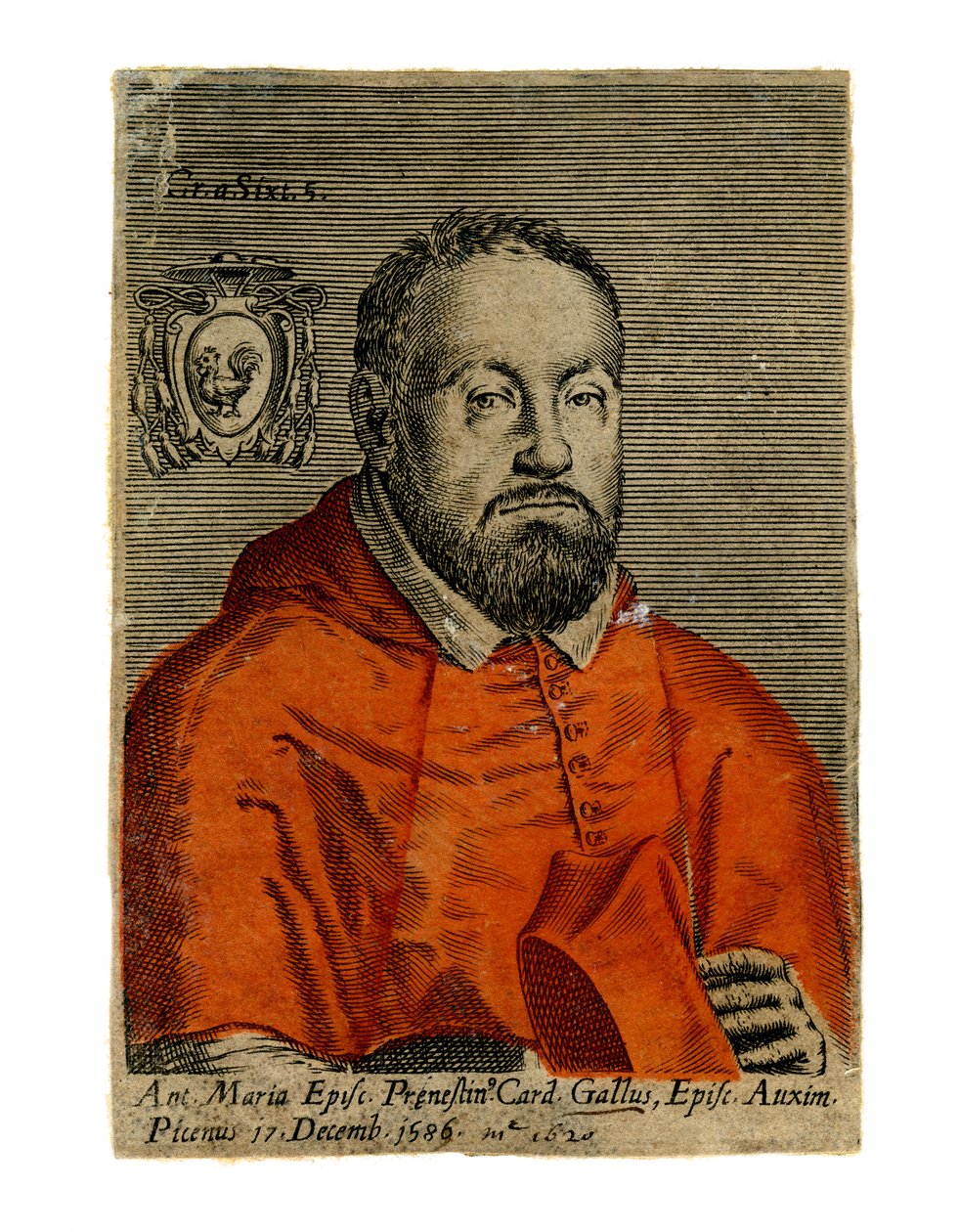Un cardenal, siglo XVI de Unbekannt