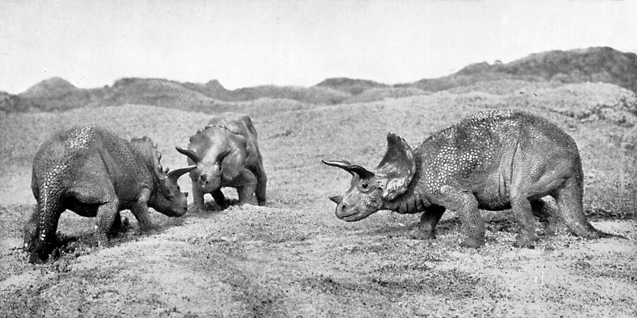 Un grupo de triceratops, siglo XX de Unbekannt