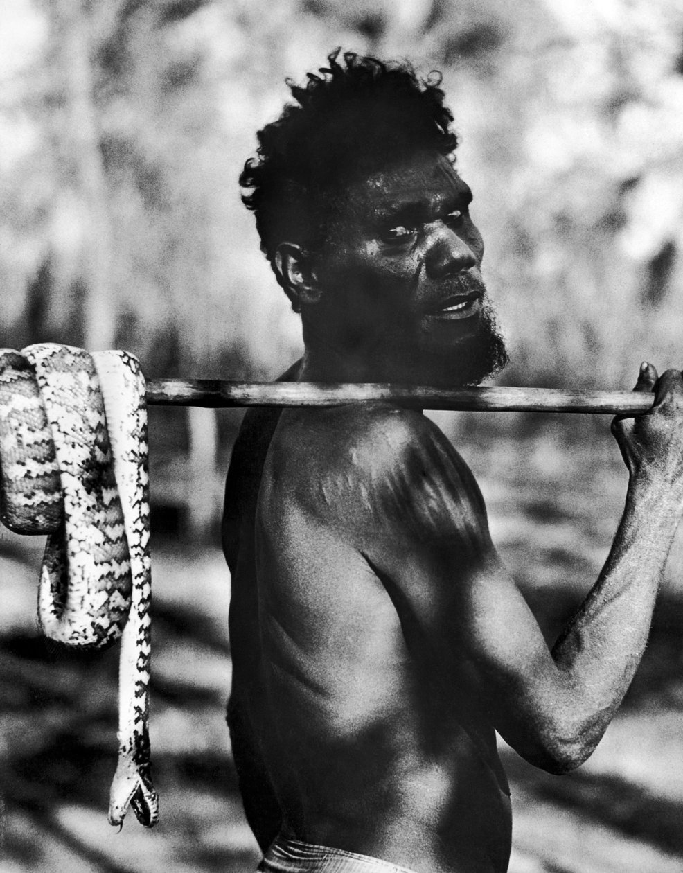 Aborigen con serpiente de Unbekannt