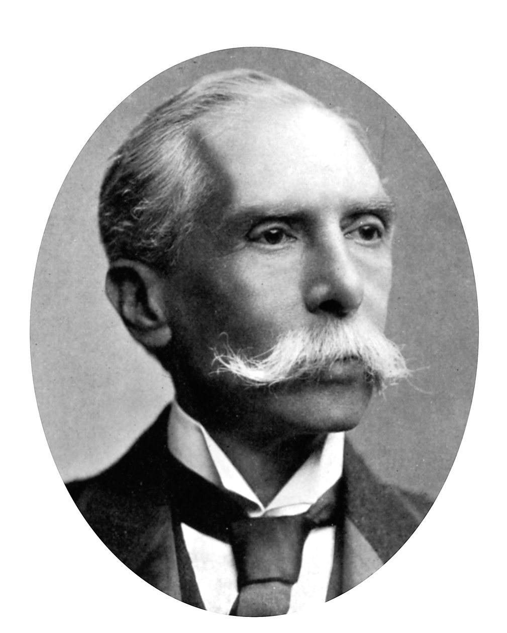 Alfred Austin, poeta inglés, c1905 de Unbekannt