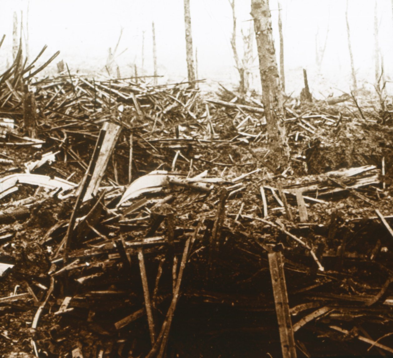 Campo de batalla, c1914-c1918 de Unbekannt