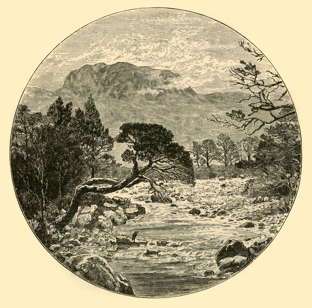 Ben Slioch de Unbekannt
