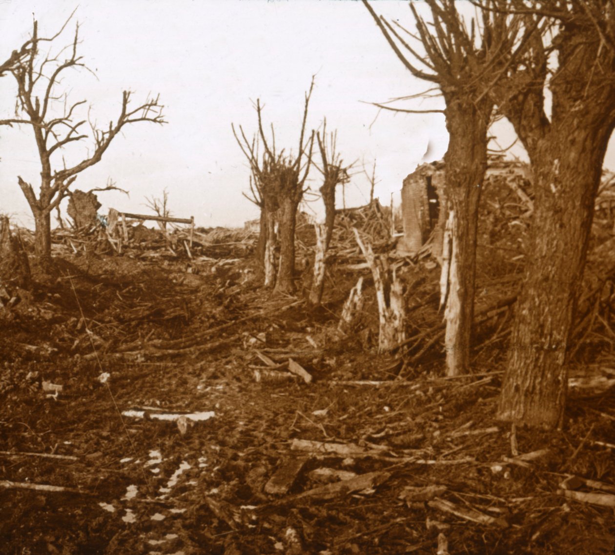 Paisaje devastado, Belloy-en-Santerre, norte de Francia, c. 1914-c. 1918 de Unbekannt