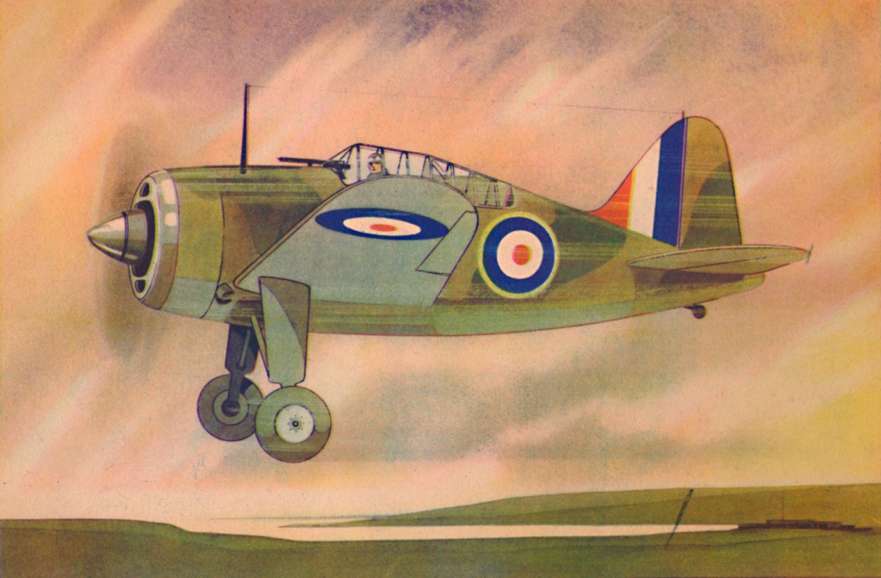 Caza Brewster Buffalo, c1944 de Unbekannt