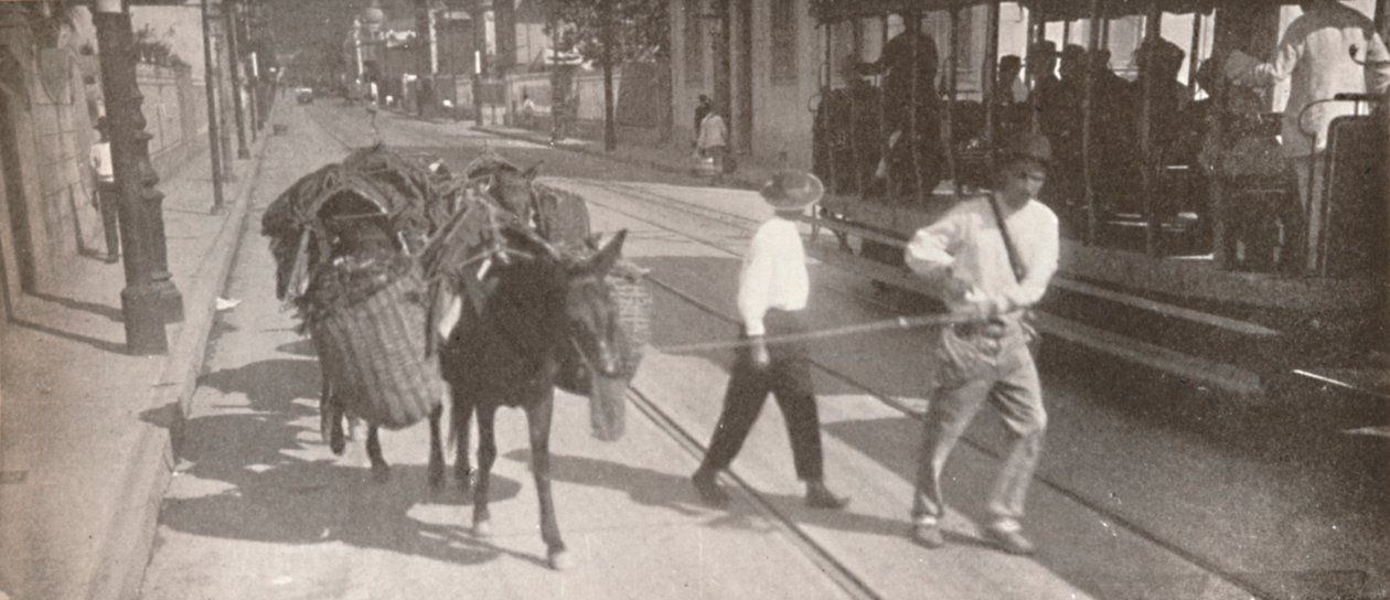 En tranvía y mula, 1914 de Unbekannt