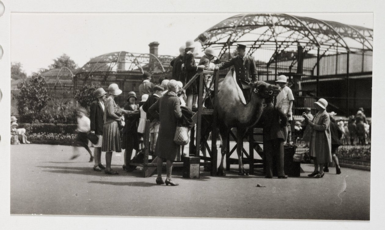 Paseo en camello, c 1930 de Unbekannt