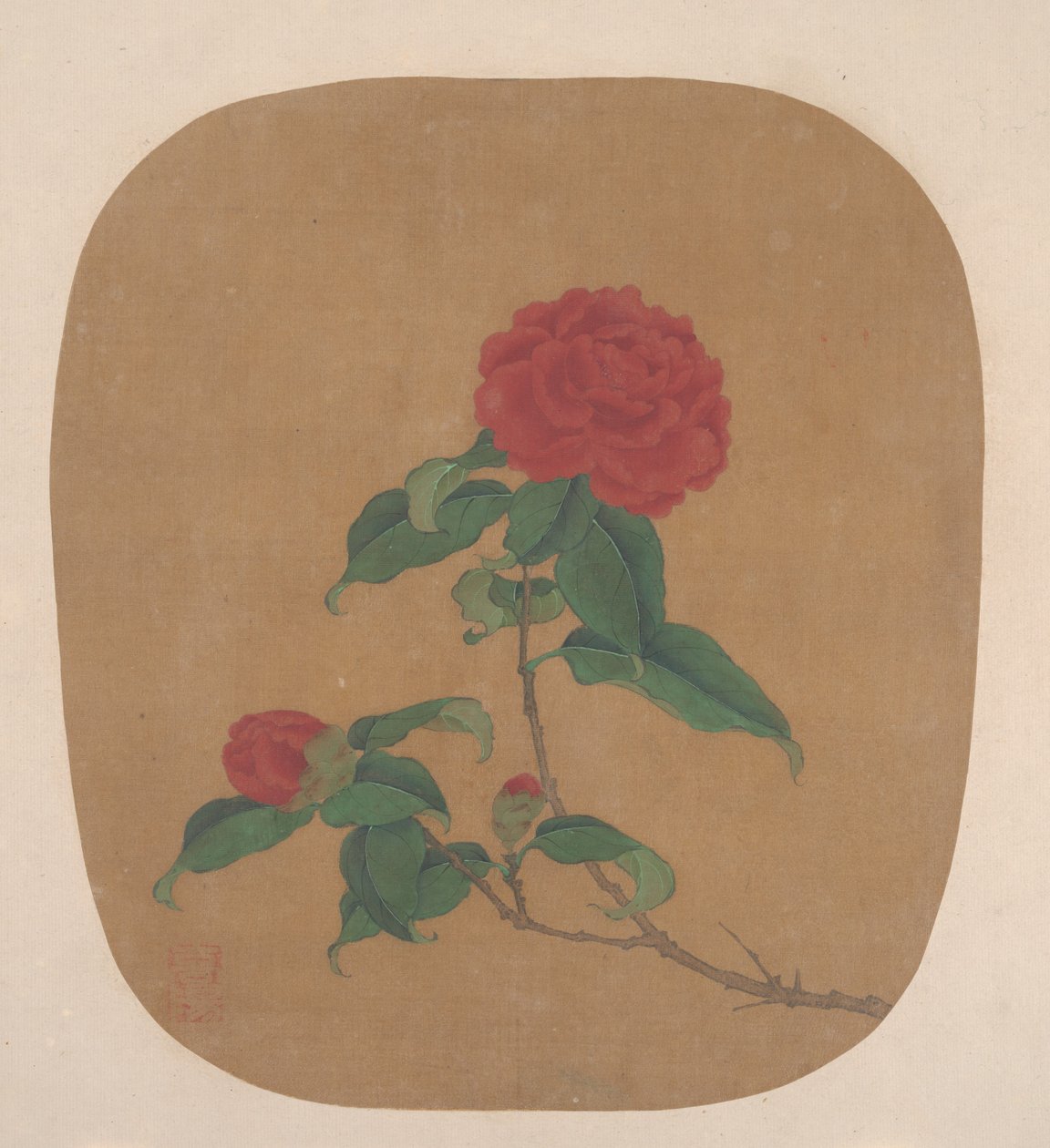 Flores de camelia de Unbekannt