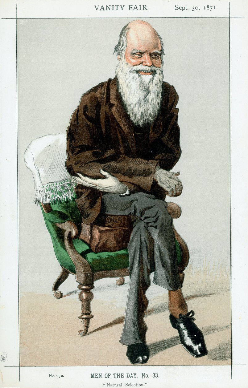 Charles Darwin, naturalista inglés, 1871 de Unbekannt