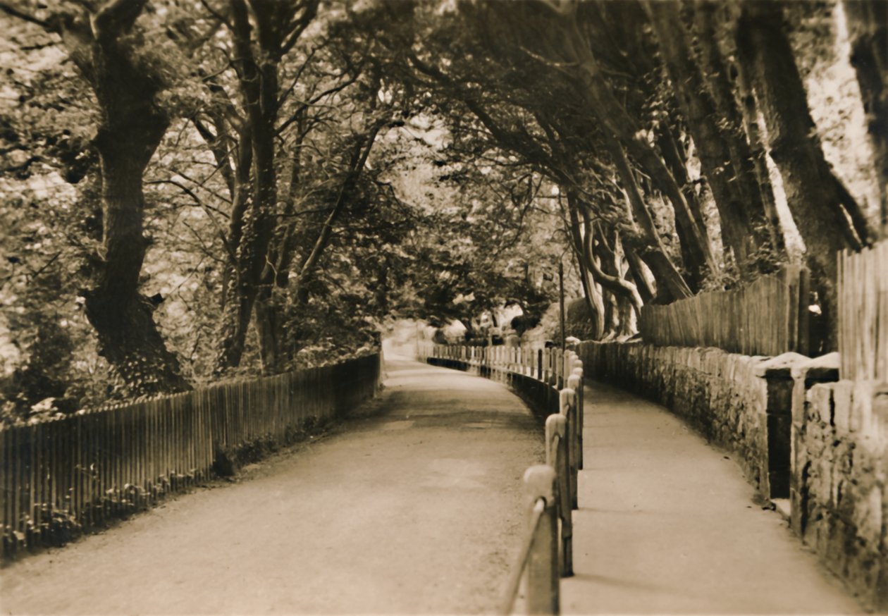 Avenida Chine, Shanklin, I.W., c1920 de Unbekannt