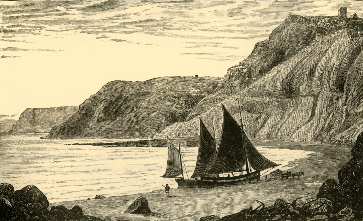 Acantilados cerca de Whitby, 1898 de Unbekannt
