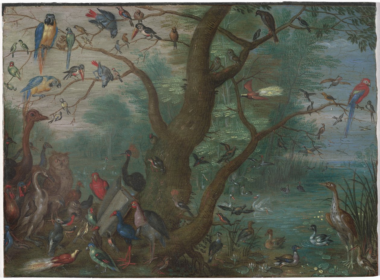 Concierto de pájaros, 1660-1670 de Unbekannt