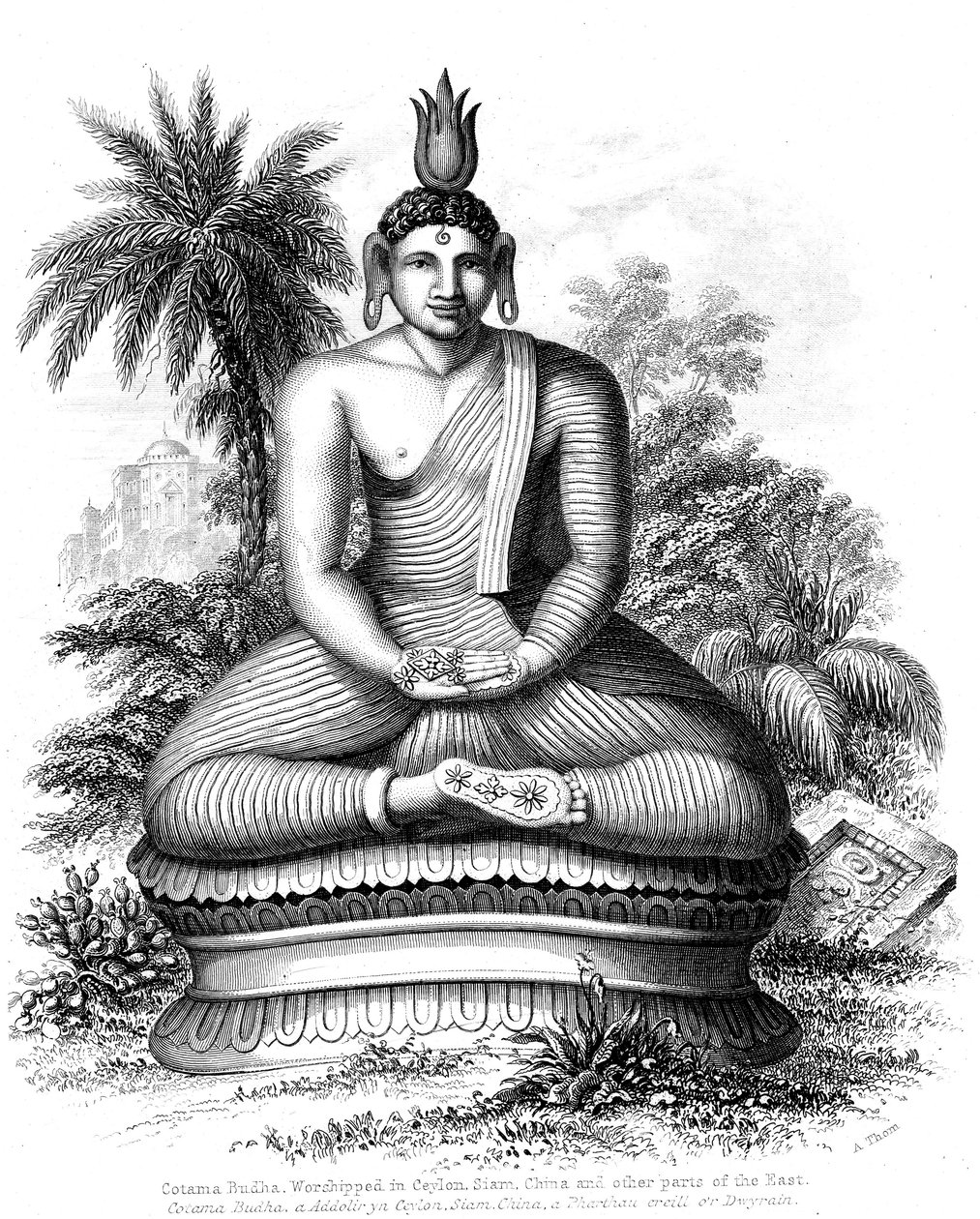 Buda Cotama, 1880 de Unbekannt