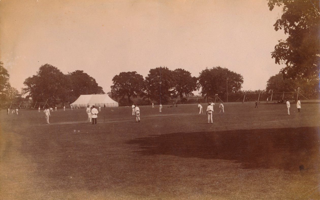 Partido de cricket, finales del siglo XIX-principios del siglo XX de Unbekannt