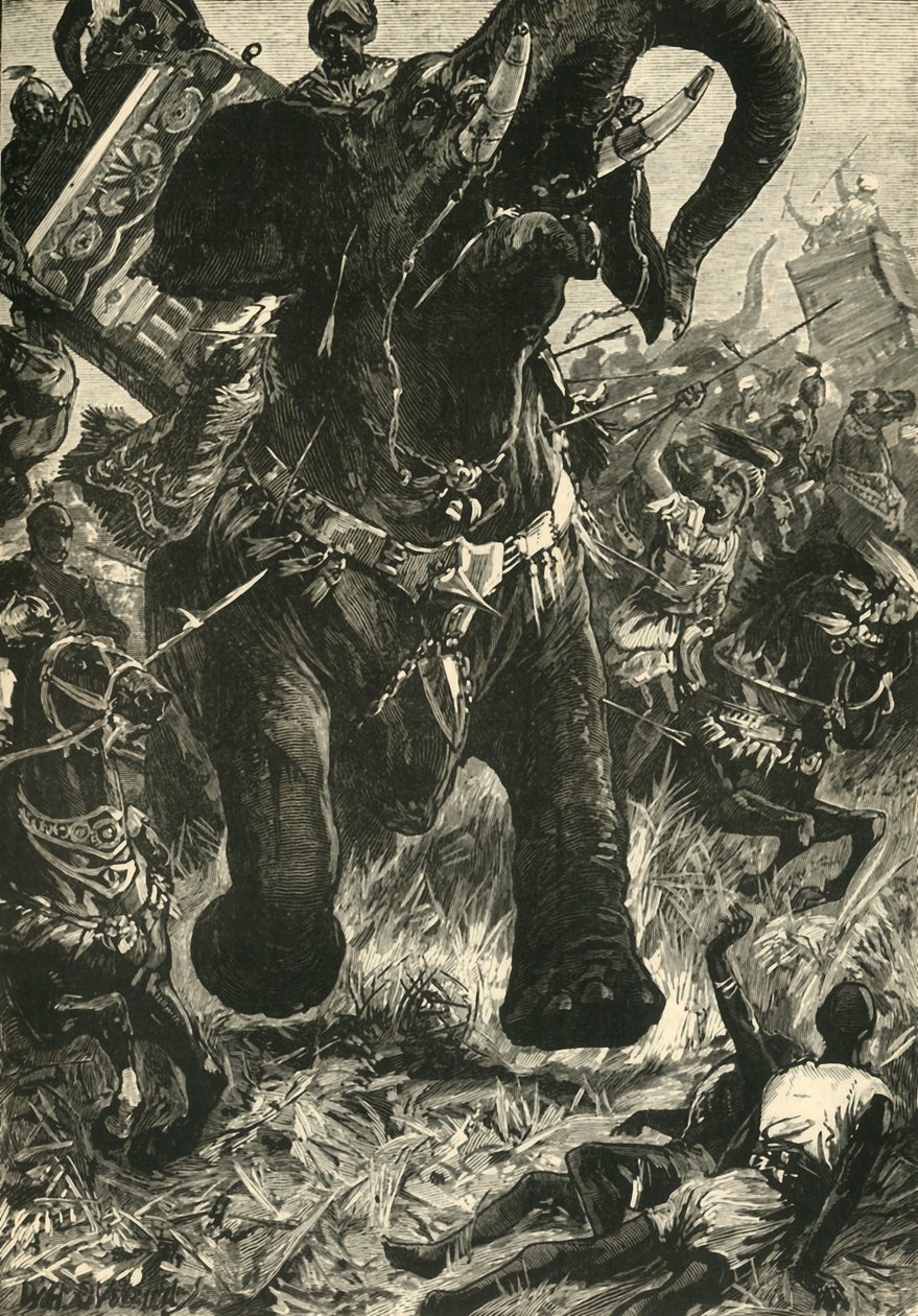 Derrota de Porus por los macedonios de Unbekannt