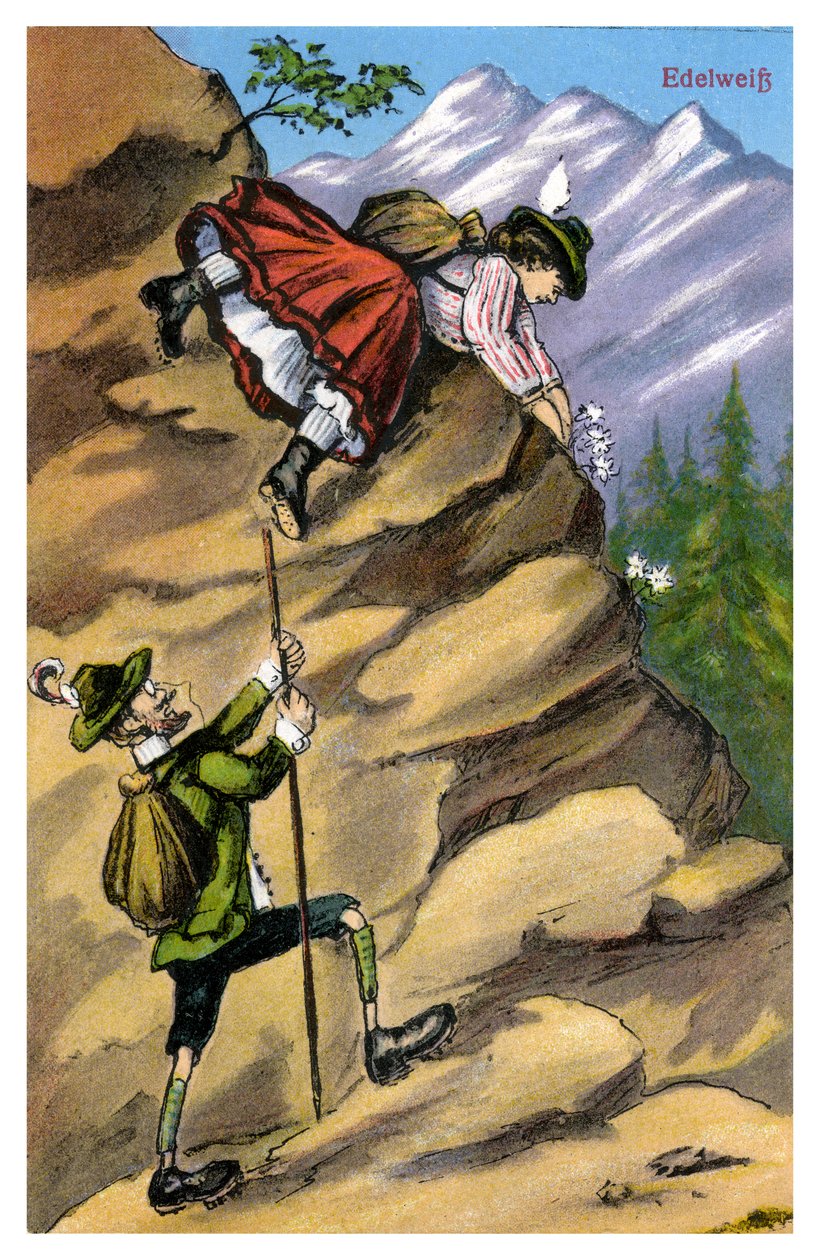 Edelweiss, finales del siglo XIX o principios del siglo XX de Unbekannt
