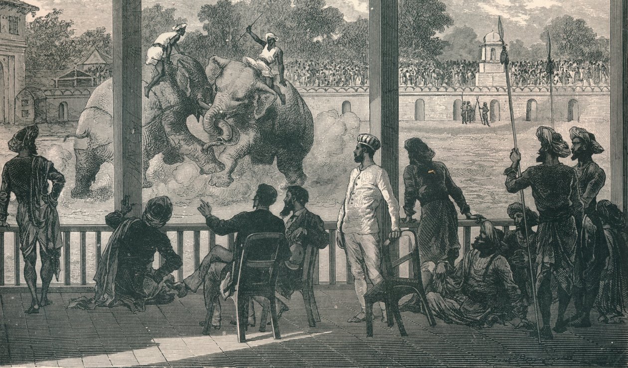 Pelea de Elefantes en Baroda, 1896 de Unbekannt