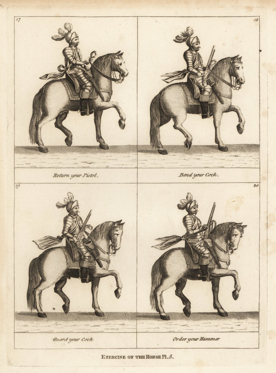 Ejercicio del caballo de Unbekannt