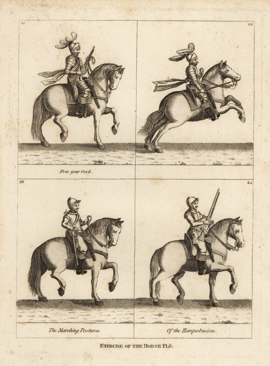 Ejercicio del caballo de Unbekannt