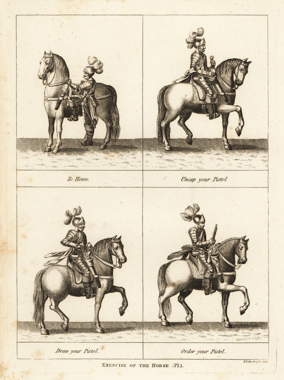 Ejercicio del caballo de Unbekannt