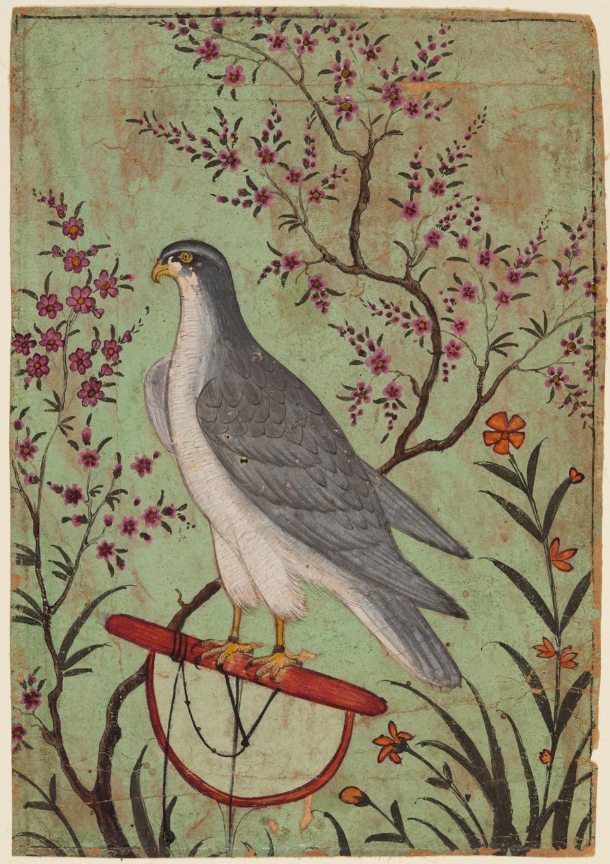 Halcón en una percha, c. 1610 de Unbekannt