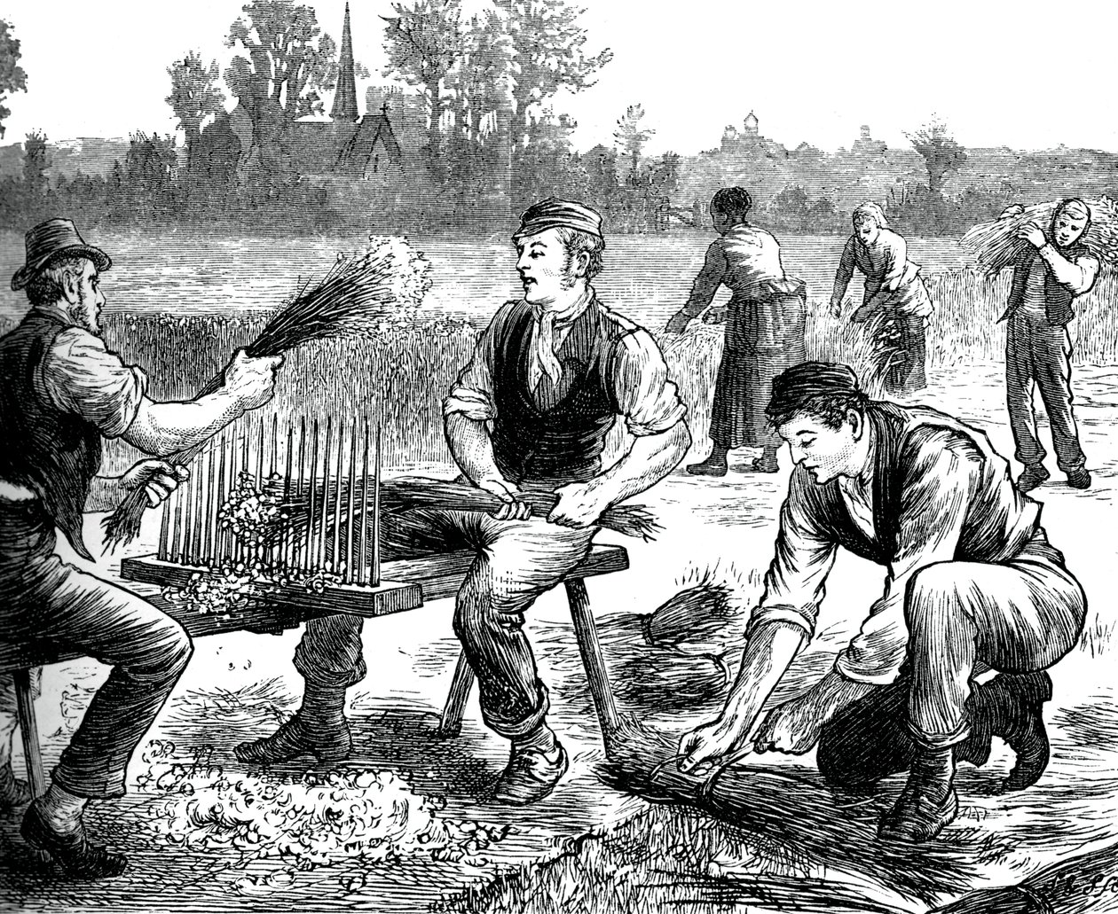 Rippling de lino, c1880 de Unbekannt