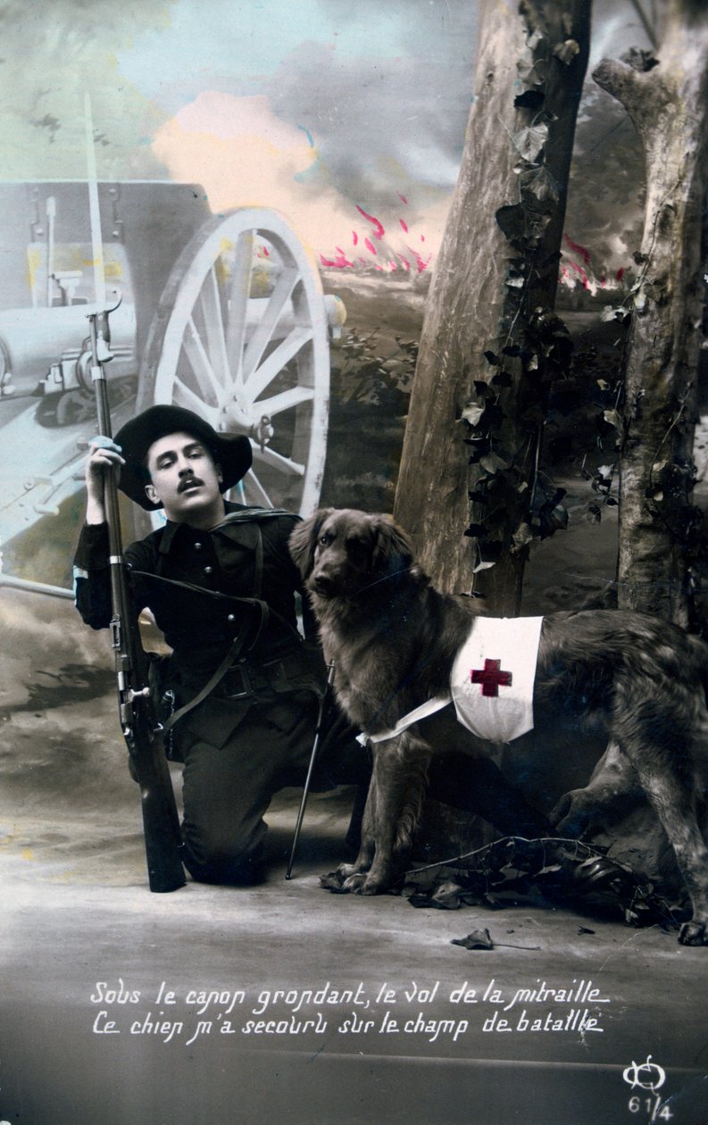 Postal francesa de la Primera Guerra Mundial de Unbekannt