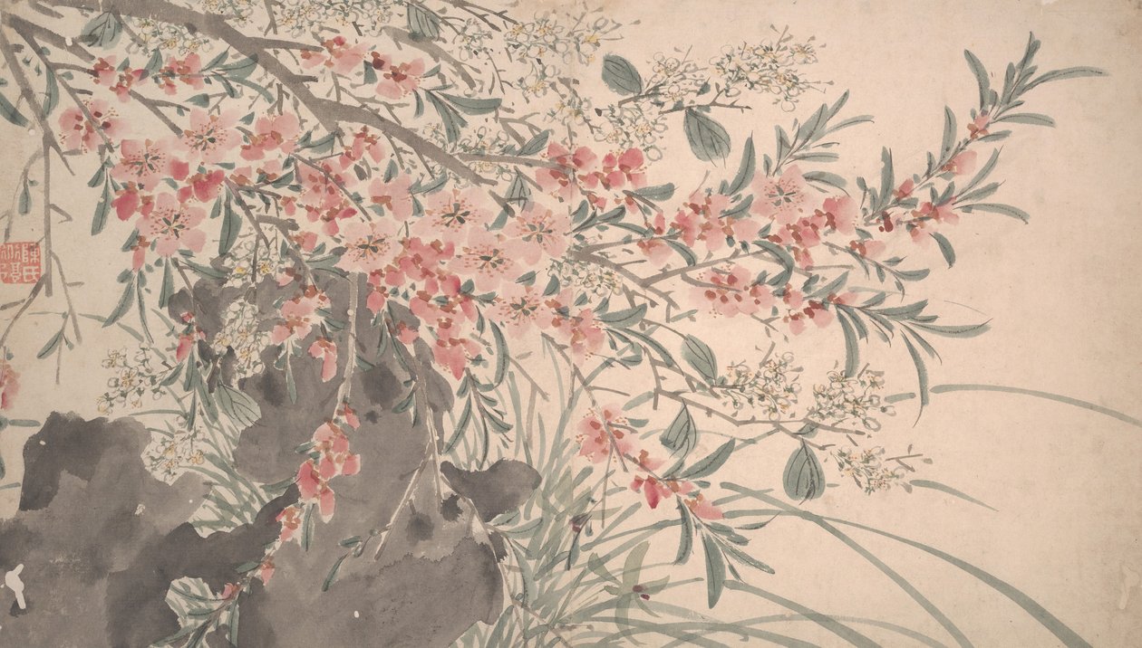 Flores de jardín de Unbekannt