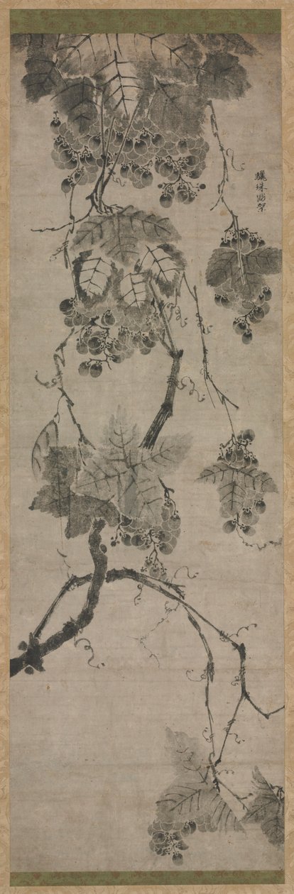 Uvas, 1700s de Unbekannt