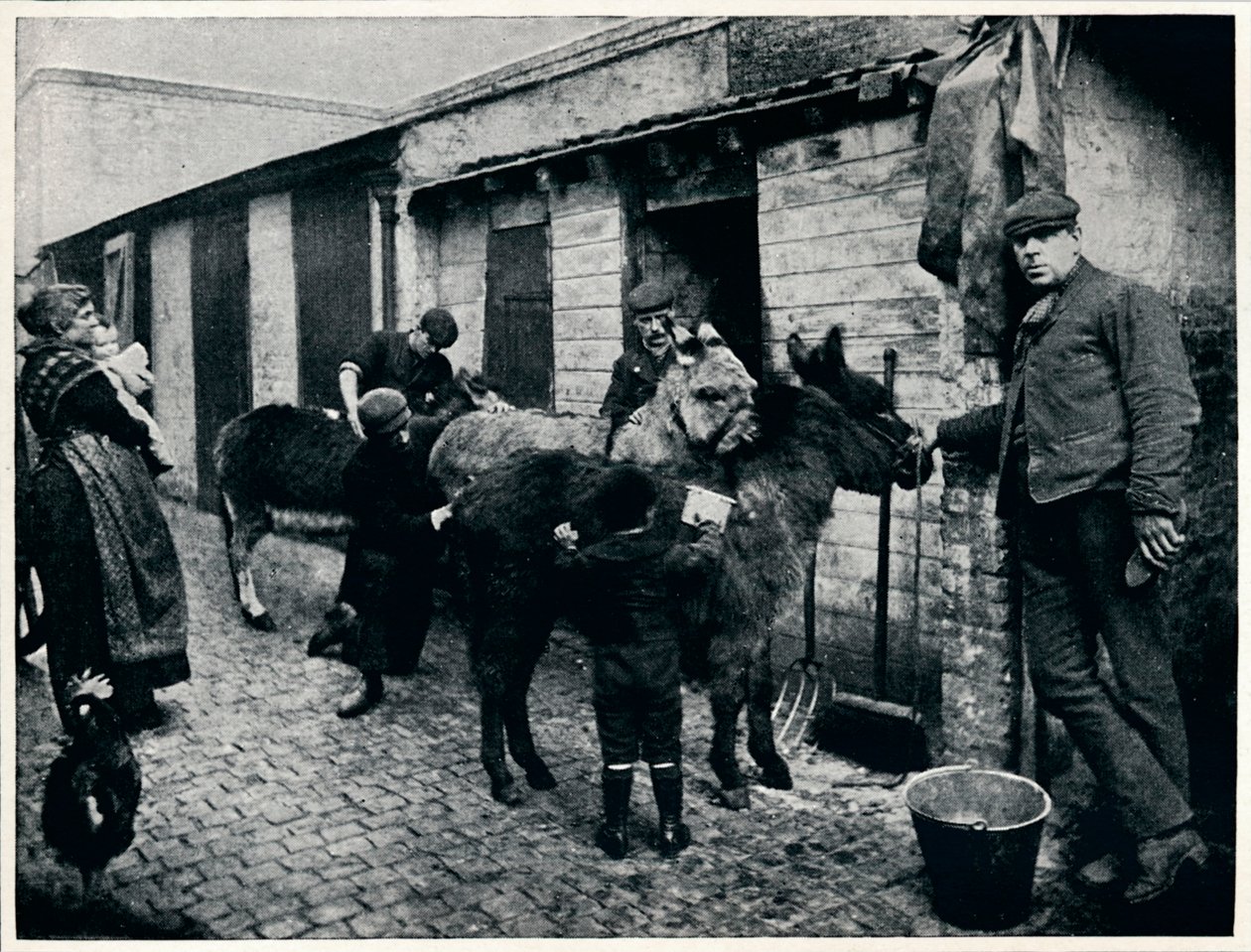 Aseando burros costeros, Londres, c1903 de Unbekannt