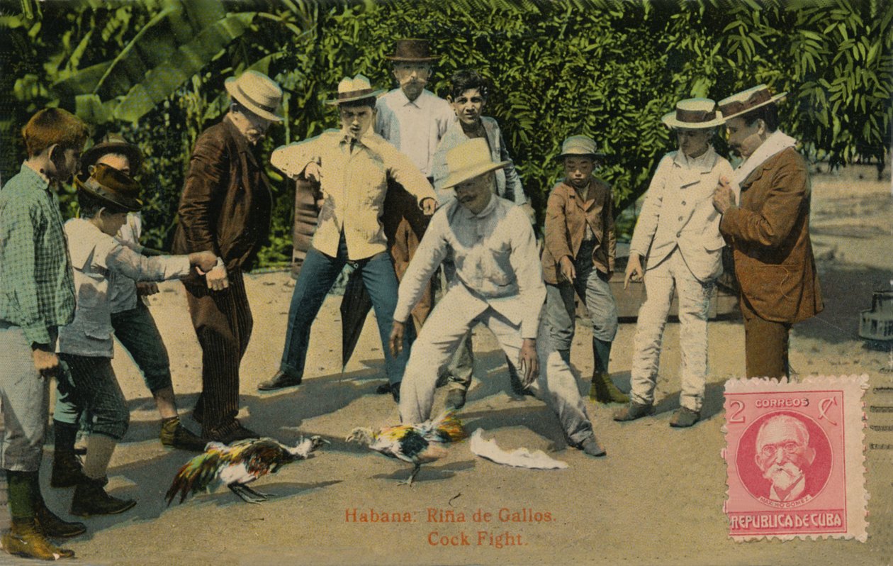 Habana: Rina de Gallos. Pelea de gallos, 1918 de Unbekannt