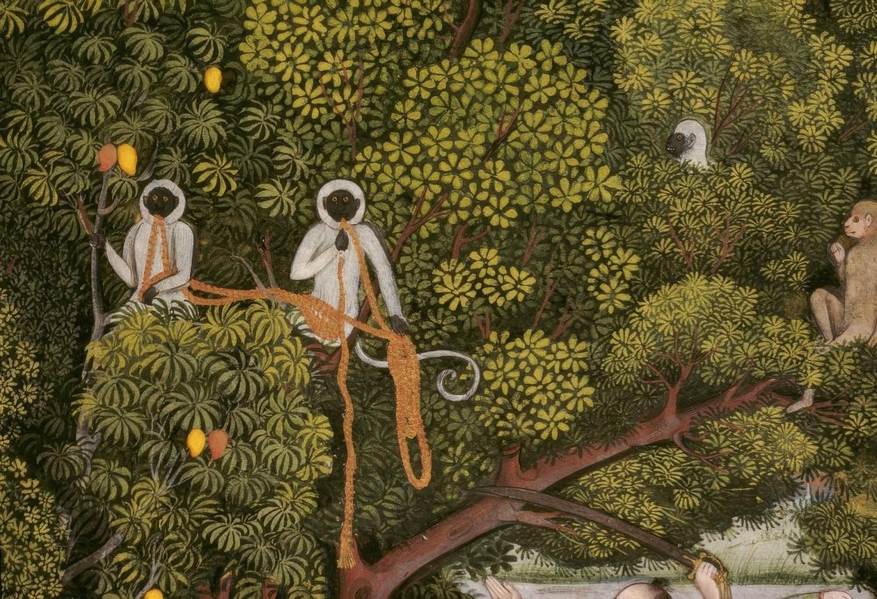 Hanuman-Languren miniatura india de Unbekannt